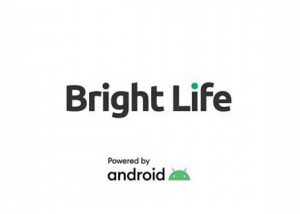 Bright Life US716I Flash File